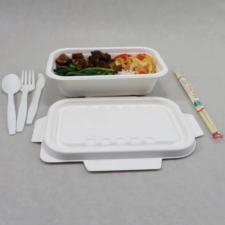 Конференция по обмену кейсами с посудой Bagasse от Shenglin Packaging