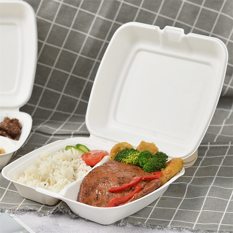 Коробка на вынос Bagasse 9 дюймов с 2 отделениями
